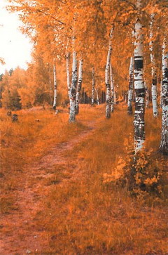 Осень, конечный вариант