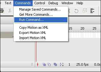 Run Command
